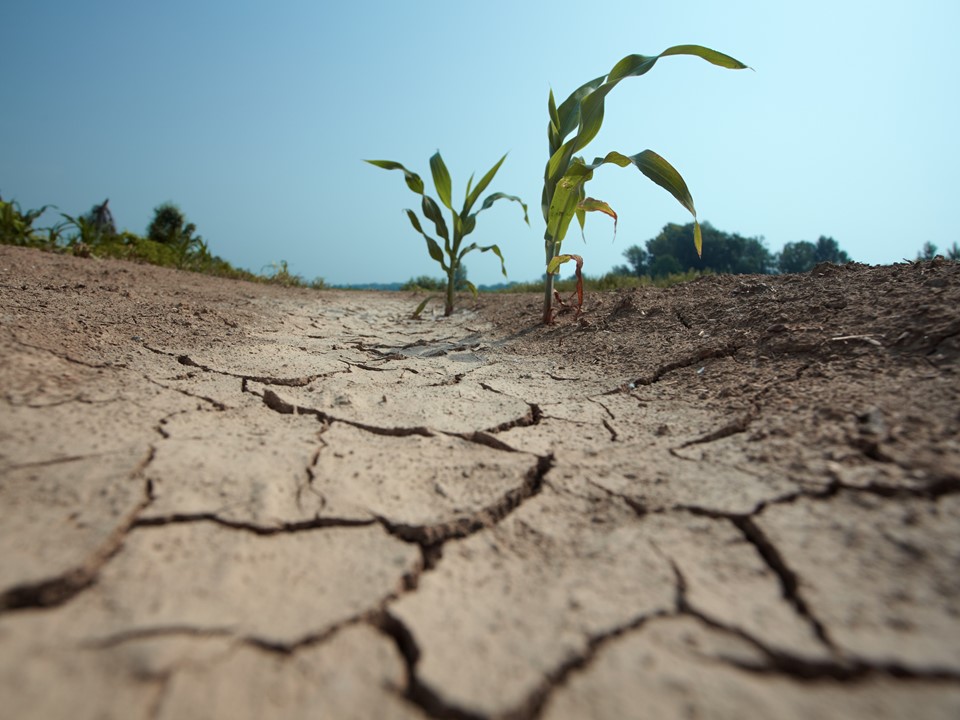 Klimawandel gefährdet Grundwasser | Podcast